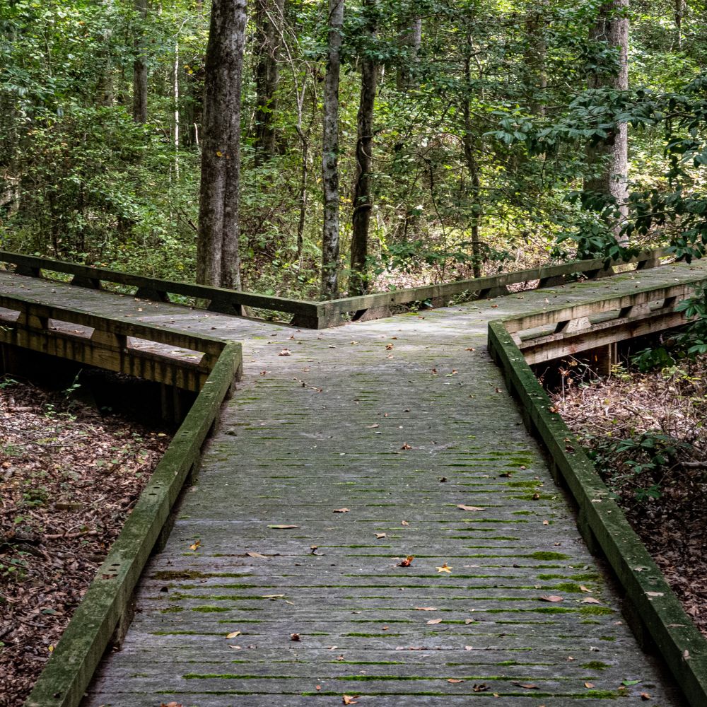 Workshop - When You Thought You’d Be Further