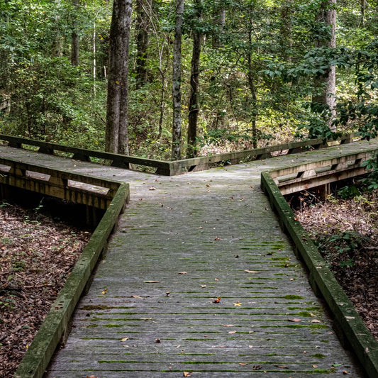 Workshop - When You Thought You’d Be Further